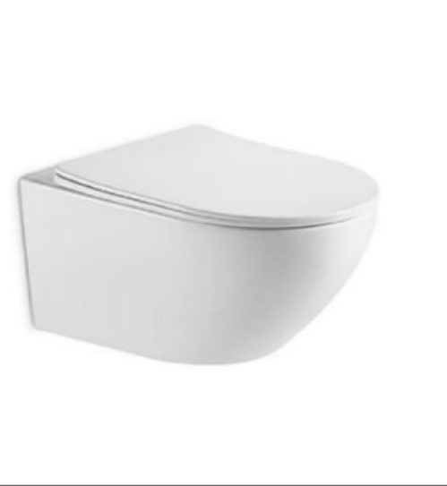 Wall Hung Commode