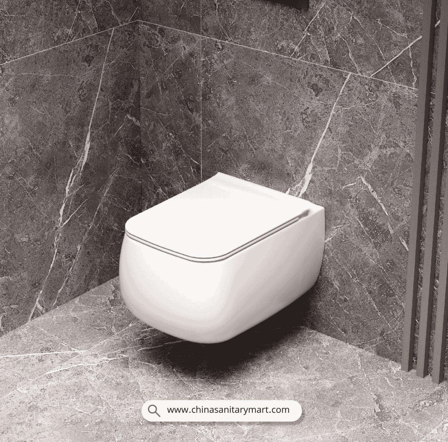 Italian Standard T106, Italian Standard commode, white wall hung toilet, D-shape wall mounted commode, luxury sanitary ware, premium ceramic toilet, China Sanitary Mart, space saving commode, modern bathroom fittings