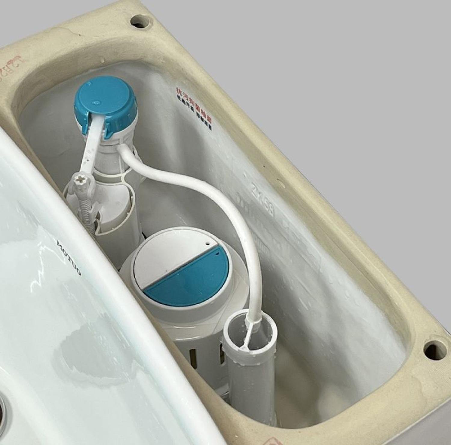 commode, egg shape commode, rimless commode, tornado jet flush commode,