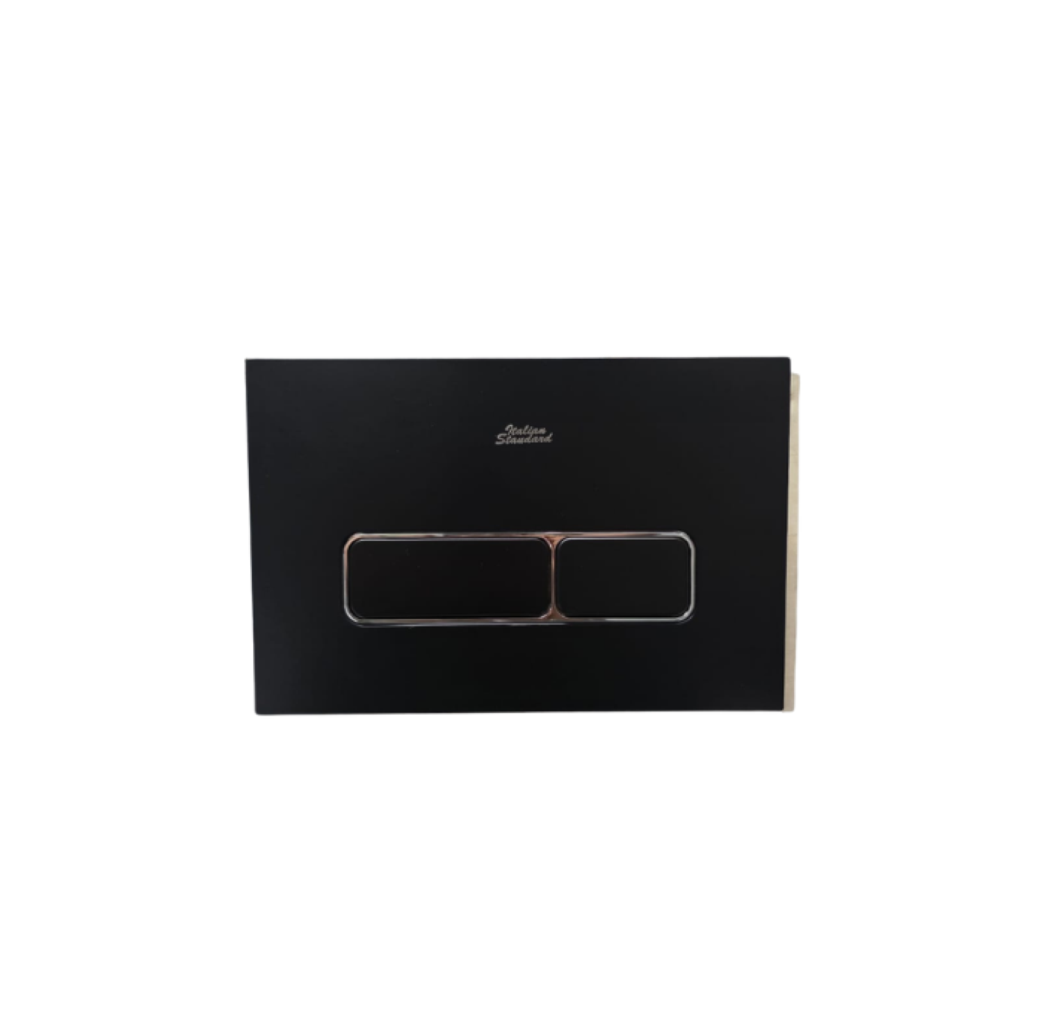 Italian Standard T103MB, matte black commode, black wall hung toilet, square wall mounted commode, black toilet bowl, luxury sanitary ware, premium ceramic toilet, China Sanitary Mart, space saving commode, modern bathroom fittings